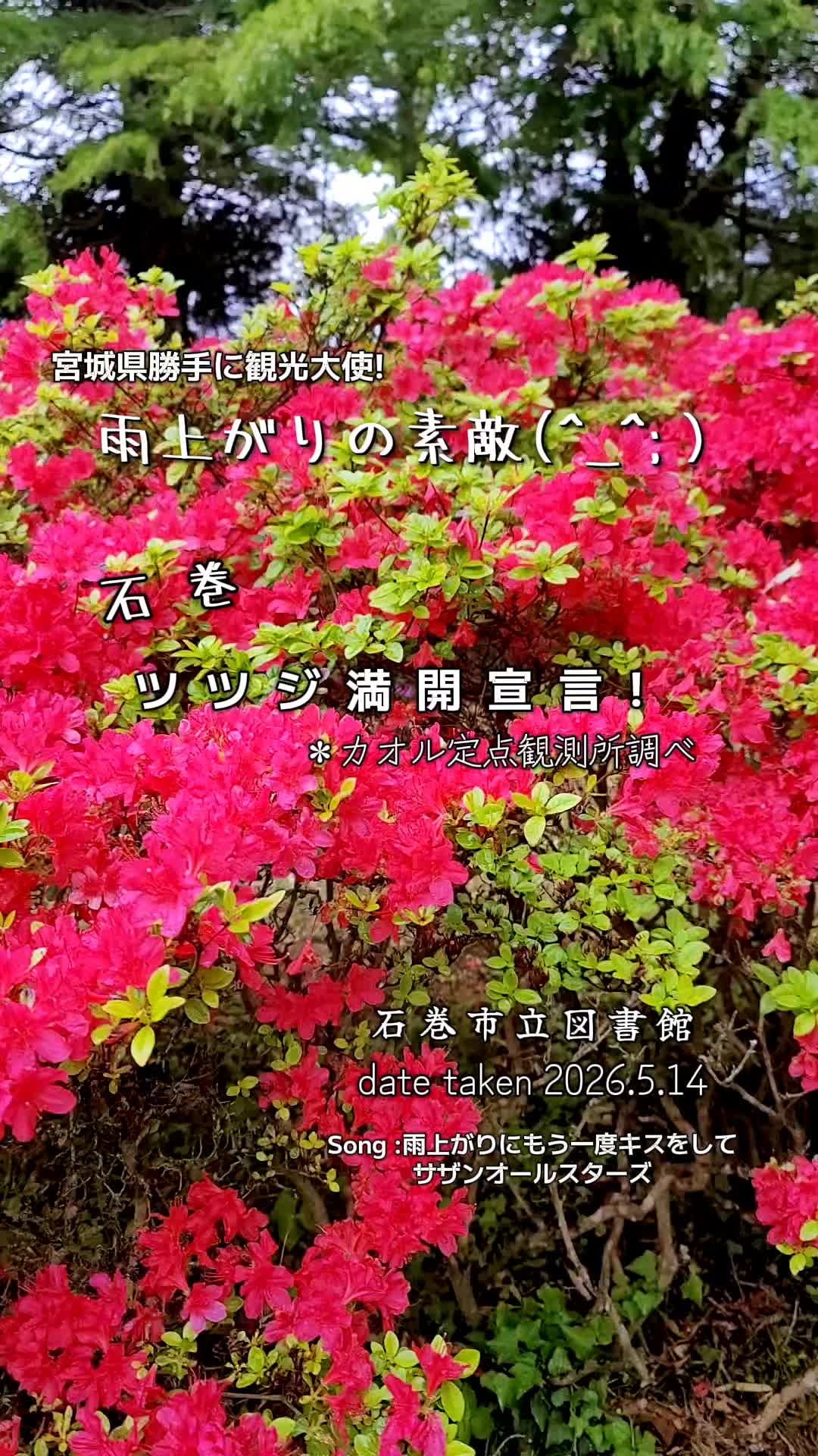 @cjカオル