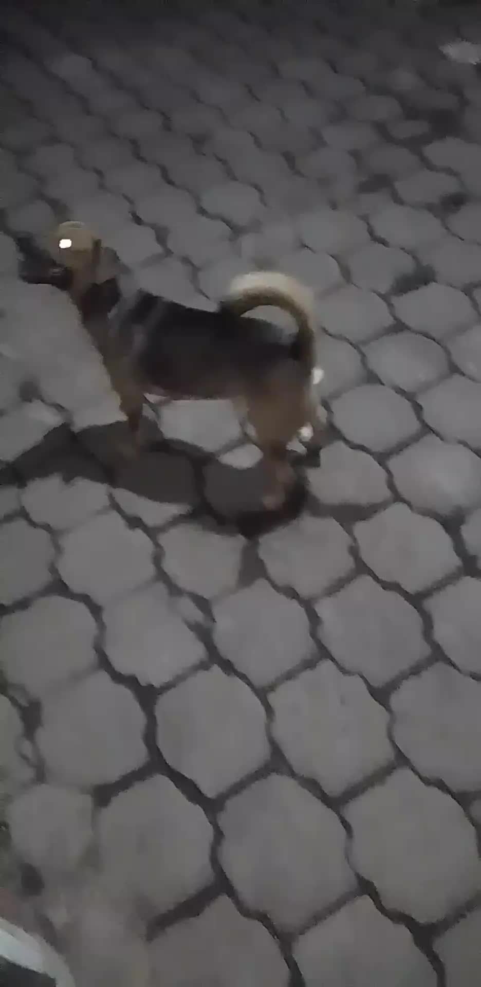 @Bendecido GÓMEZ...
