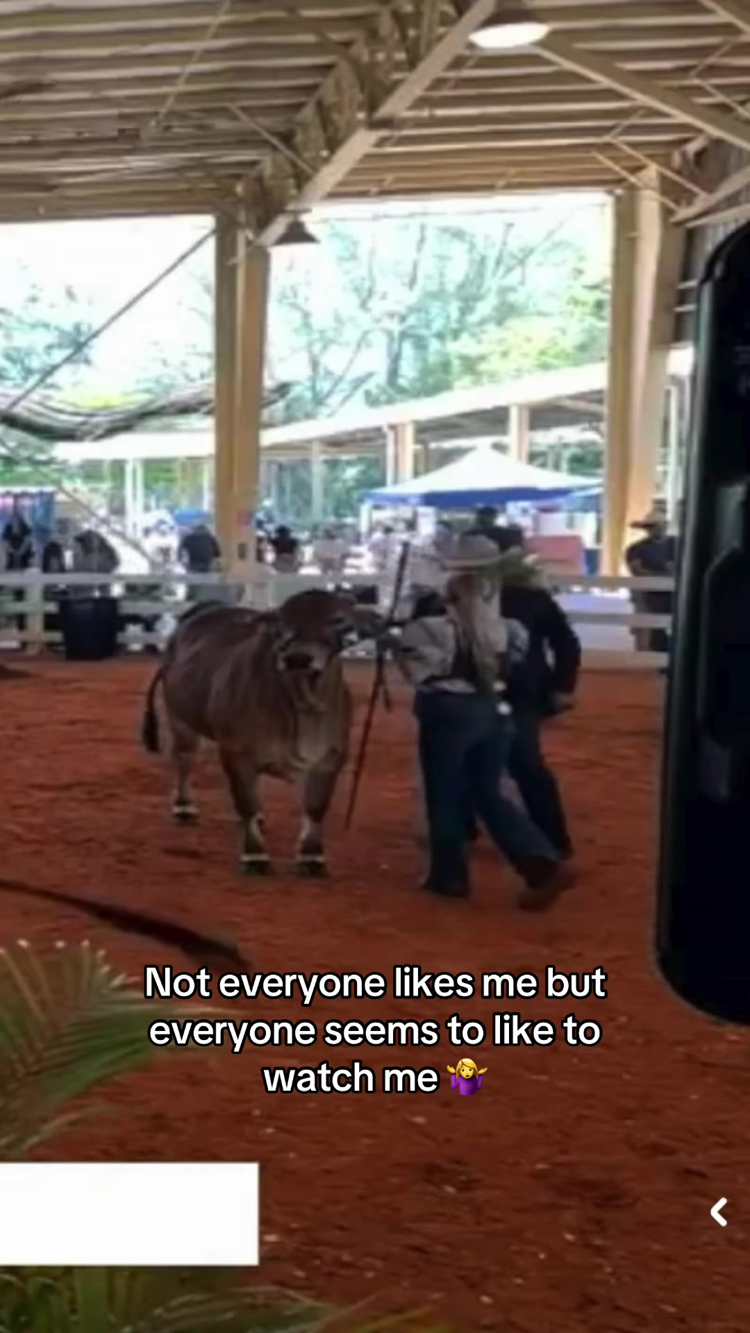 @𝐌𝐚𝐝𝐢𝐬𝐨𝐧 𝐑𝐨𝐛𝐞𝐫𝐭𝐬