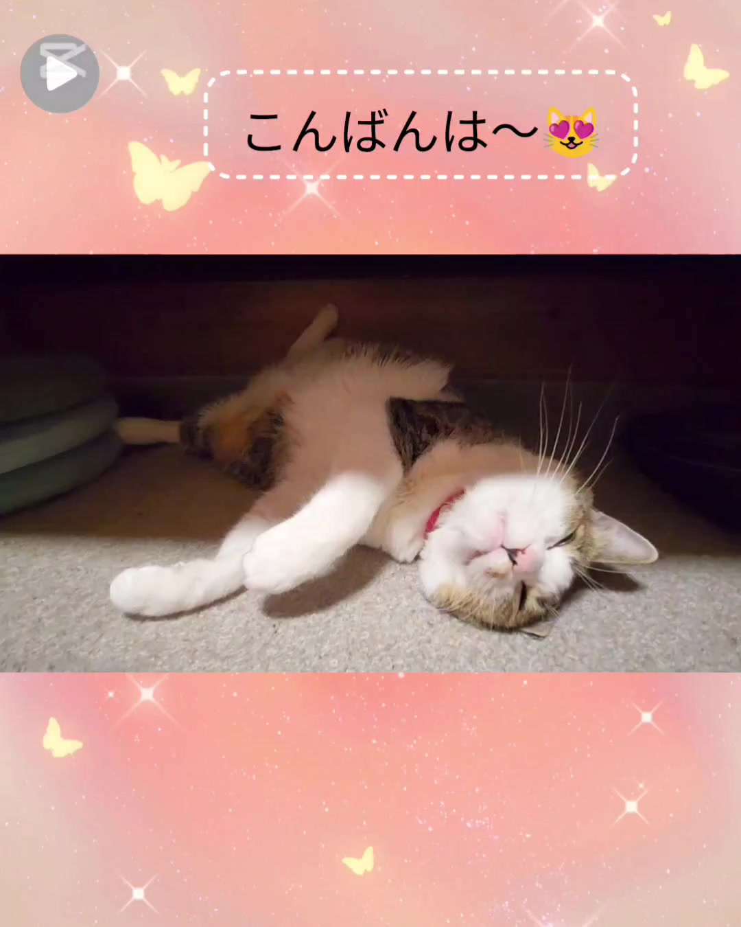 @momo