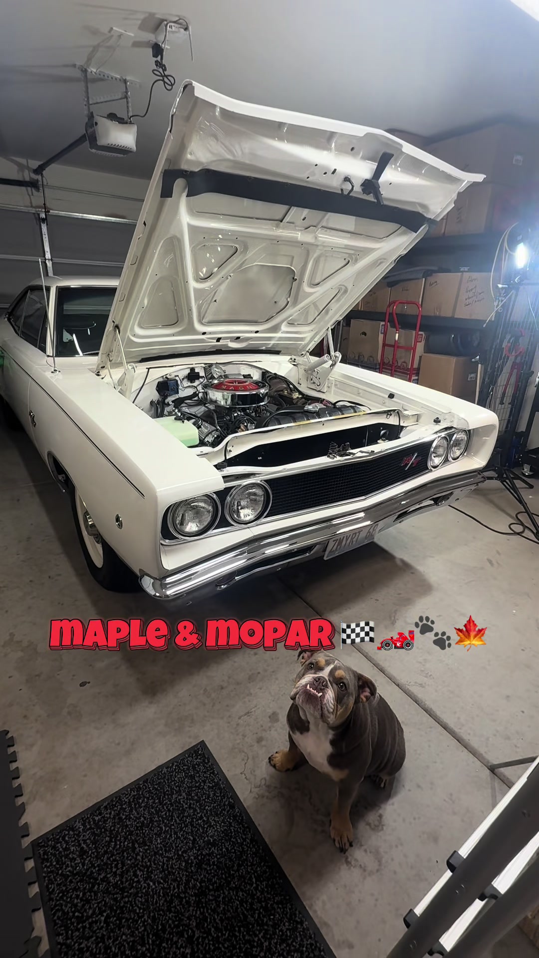@Maple & Marissa