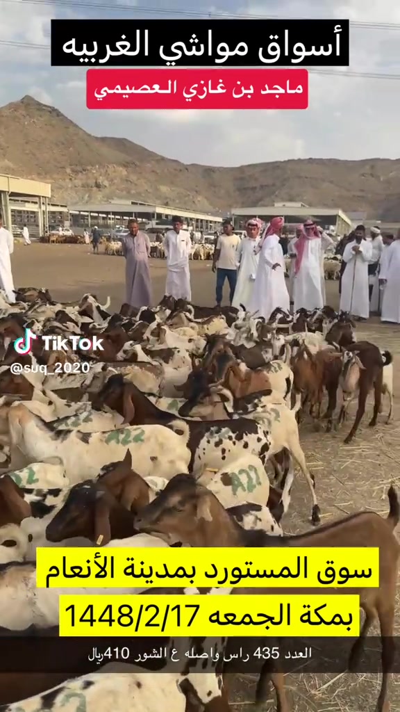 @mohamed_ksa0