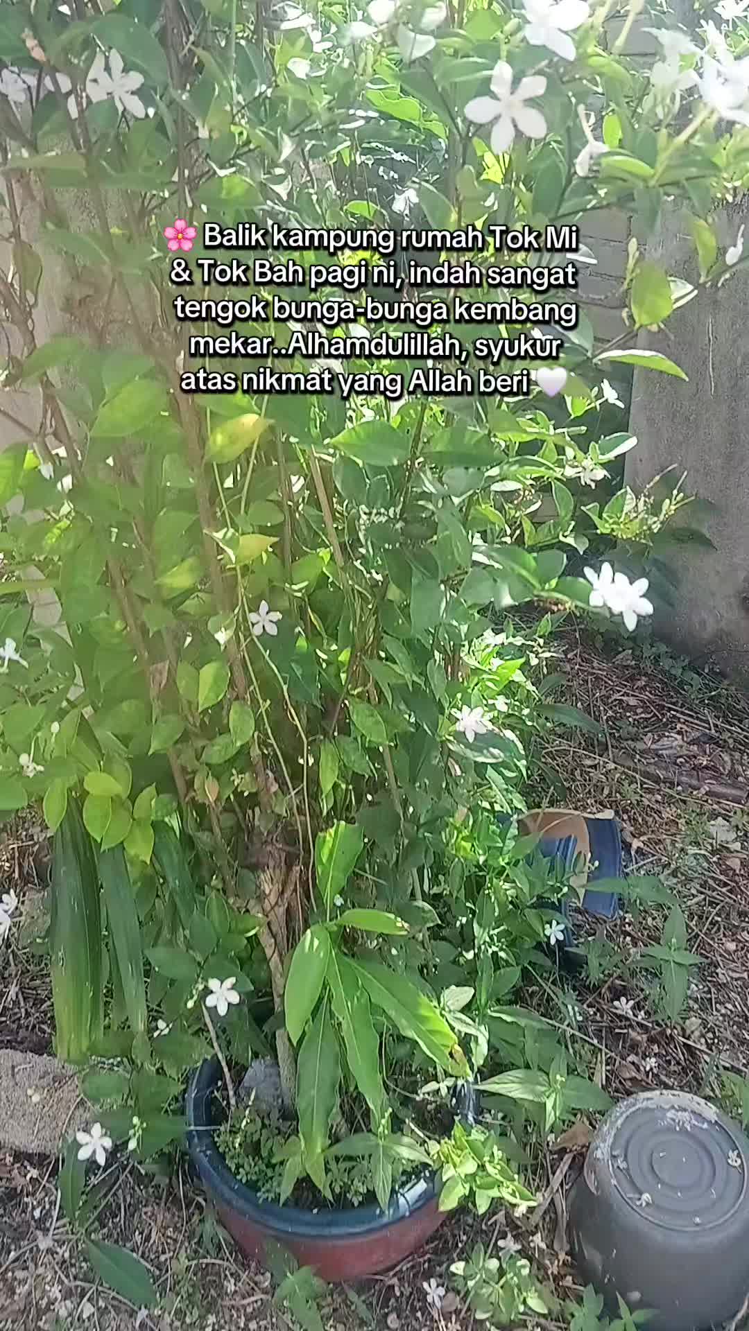 @Lin🌷