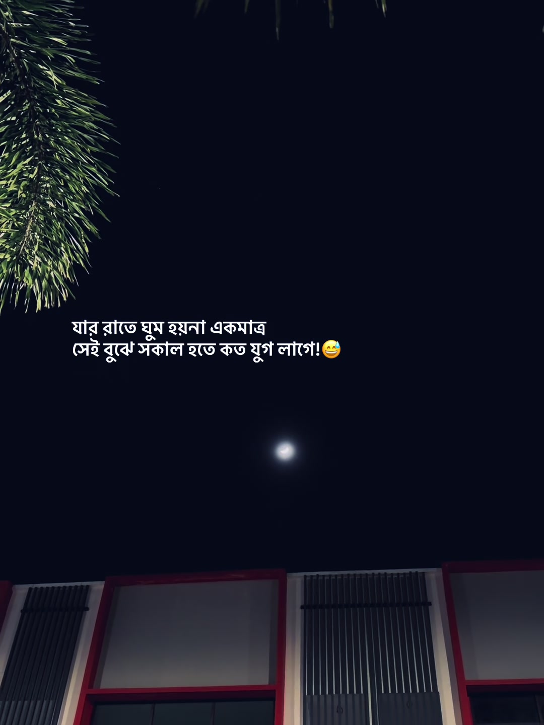 @आईएएन ┊🐥