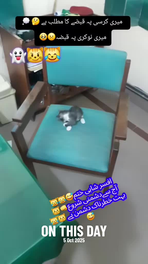 @🚨 Amir Rescuer¹¹²²🚨