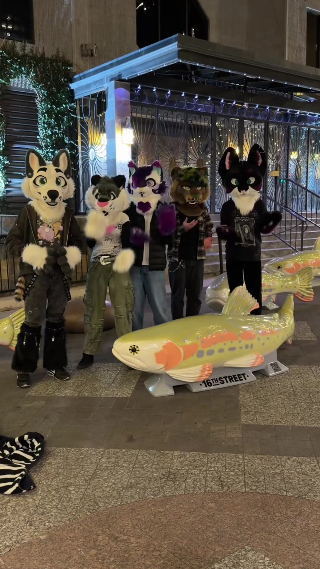 @Starlight @ FWA