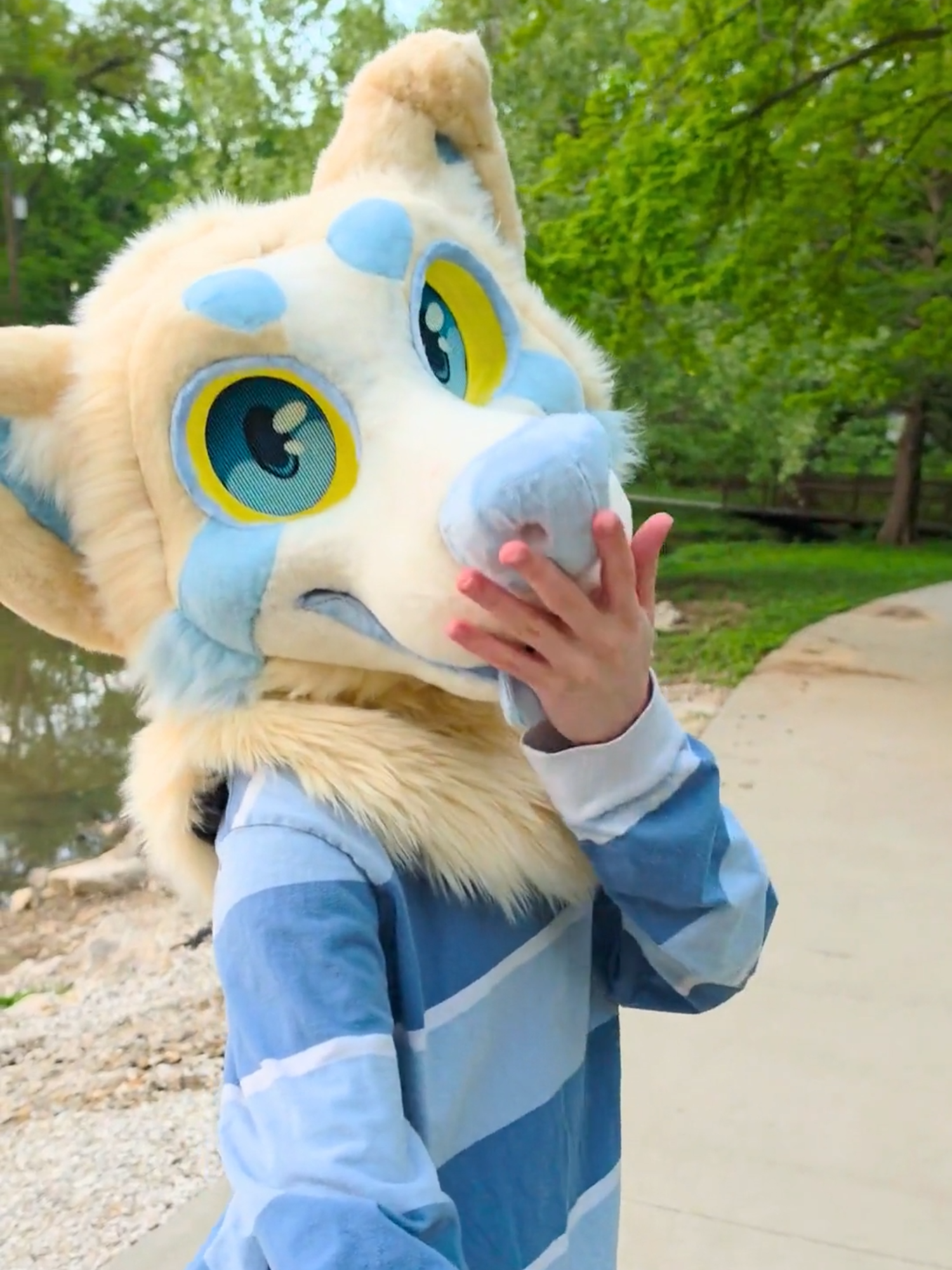 @Furbellion