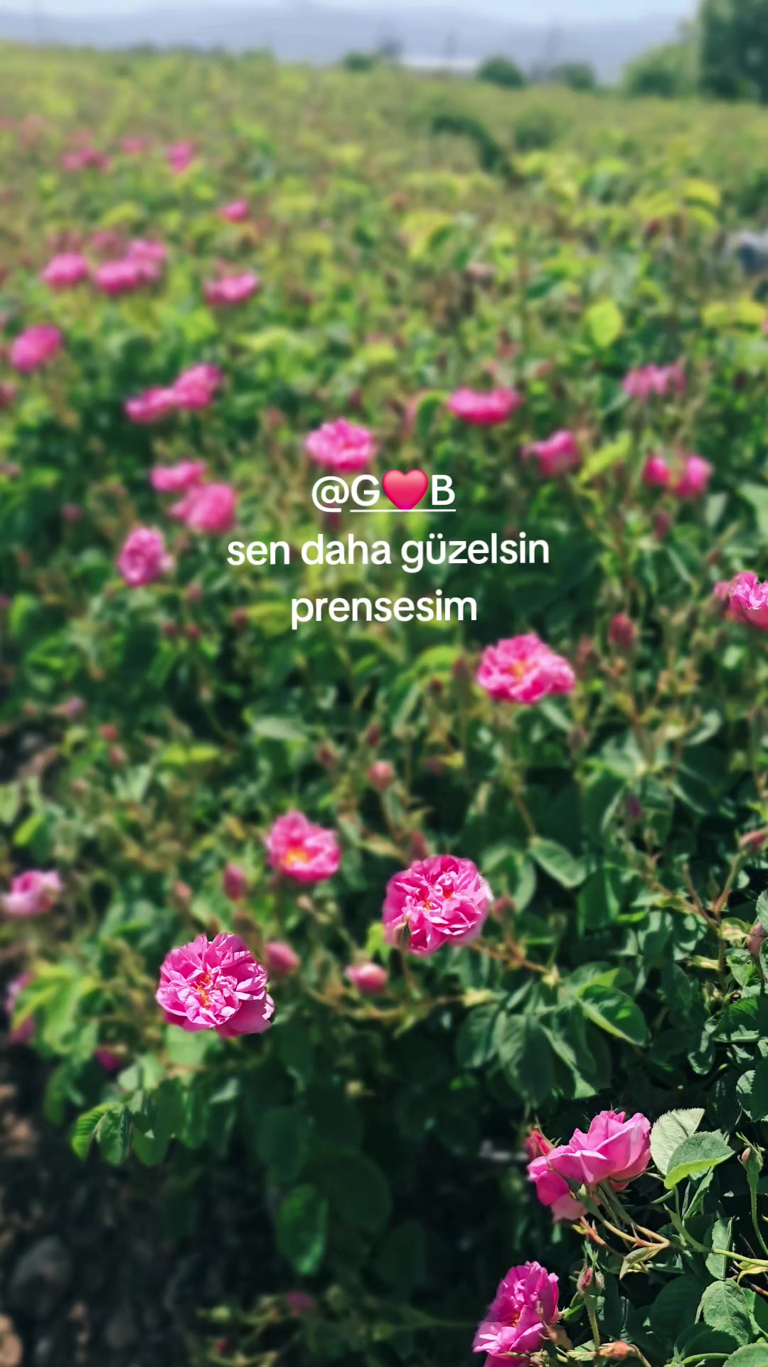 @GÜNGÖR❤️🔥BERNA