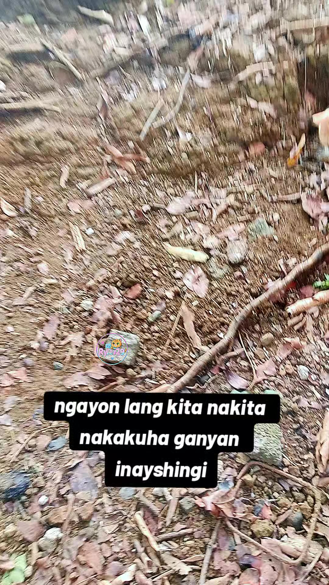 @ryler29🐱🎮🧶
