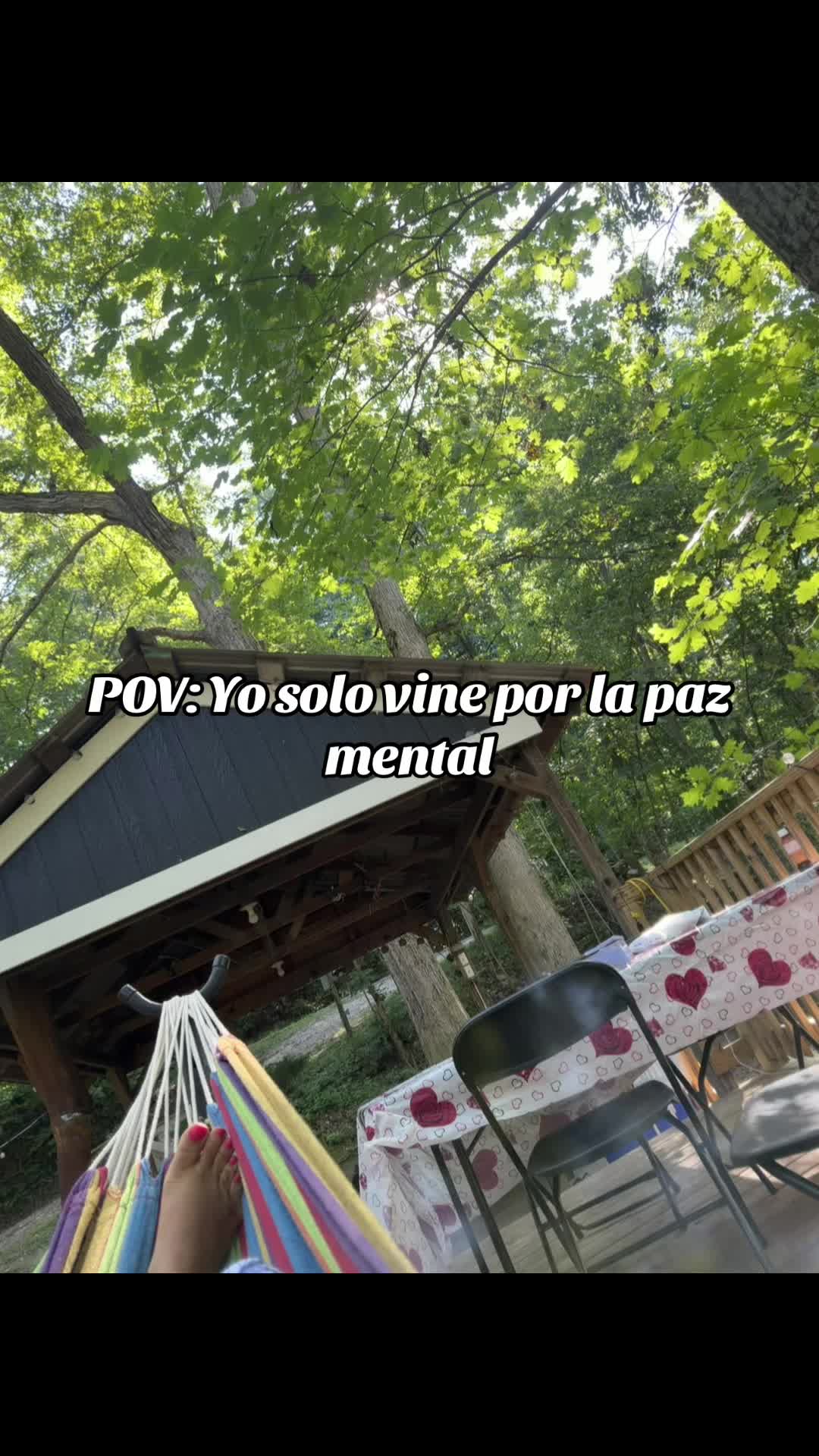 @🧸🇭🇳Colocha🇭🇳Galindo🌺🐬