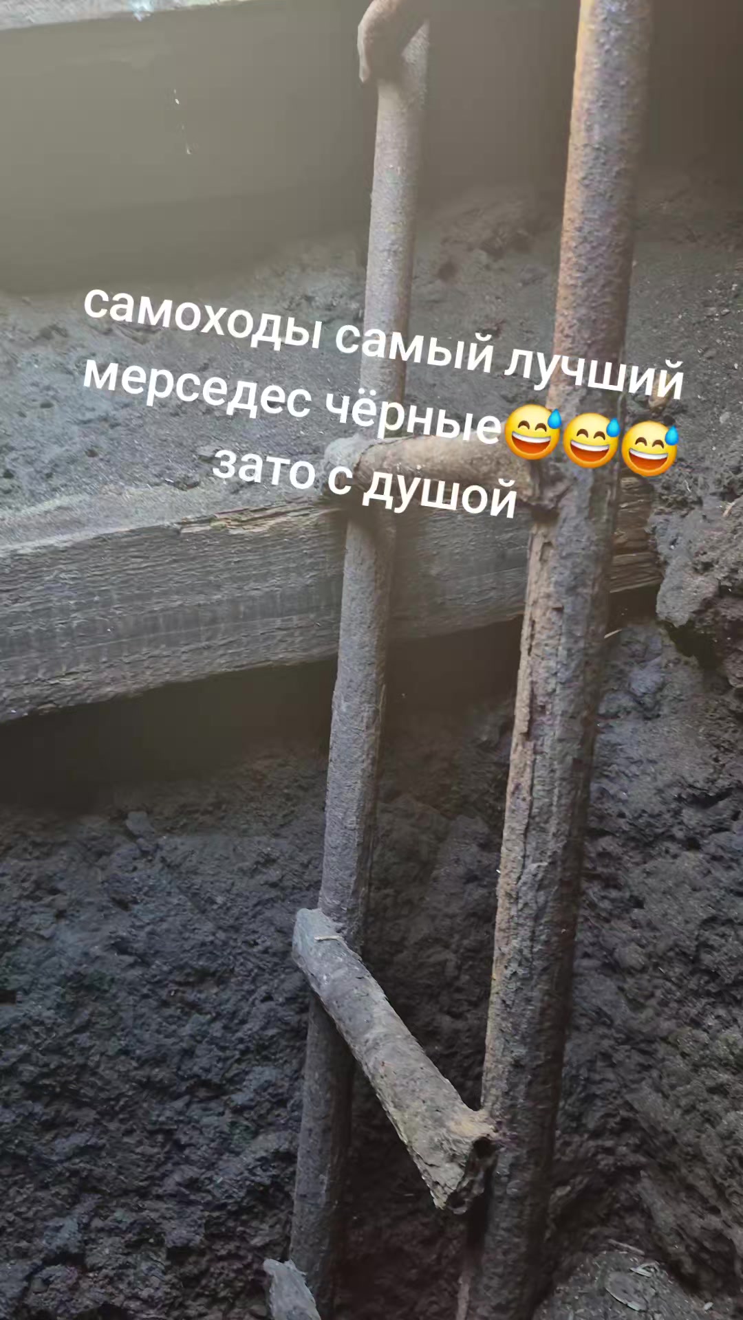 @🌷Лавандыш🌷