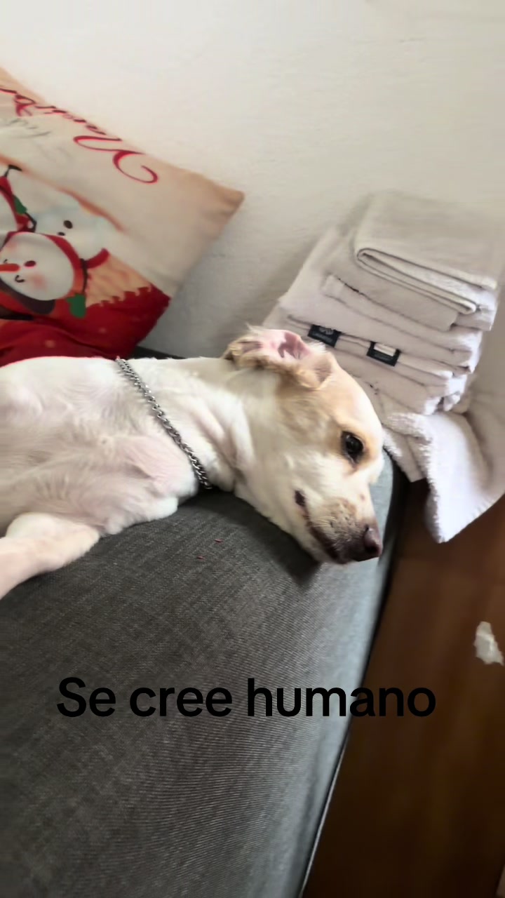 @Yan_Yan