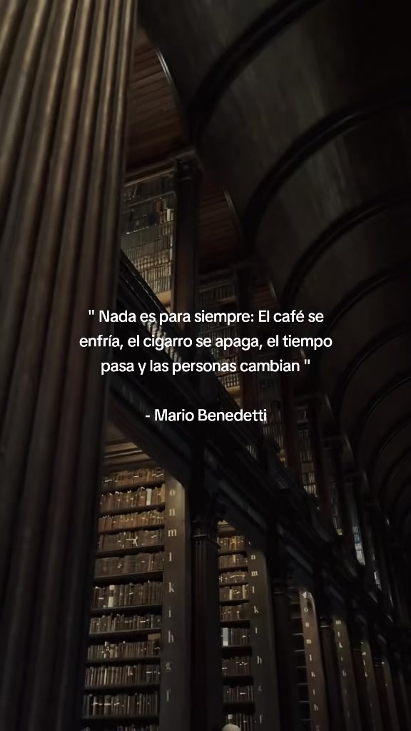 @Reyner Andr&eacute;s🦖