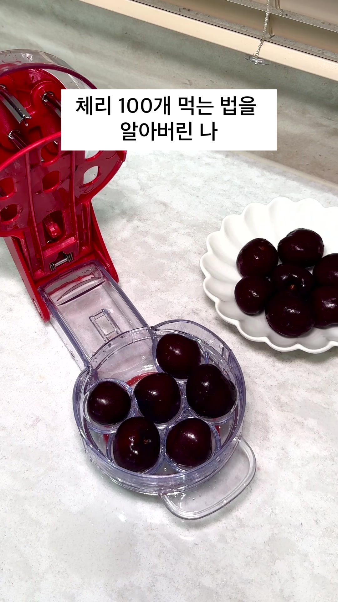 @바니얌 bani.yum