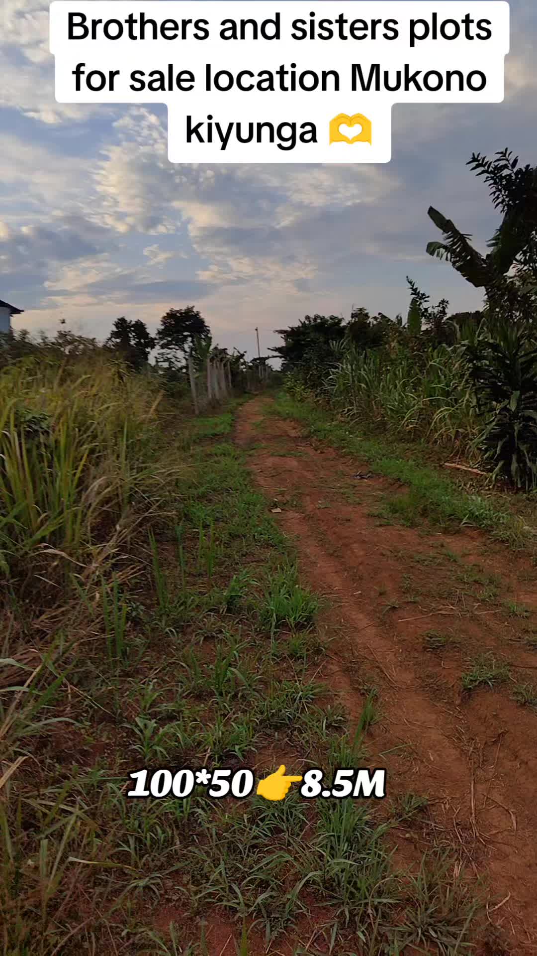 @NUPNUP53 (2)🇺🇬