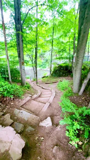 @NewYork_Traveler