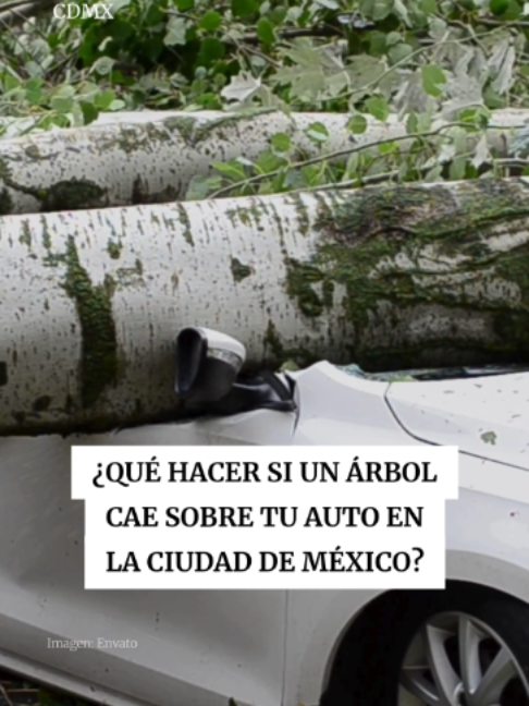 @Periódico Excélsior