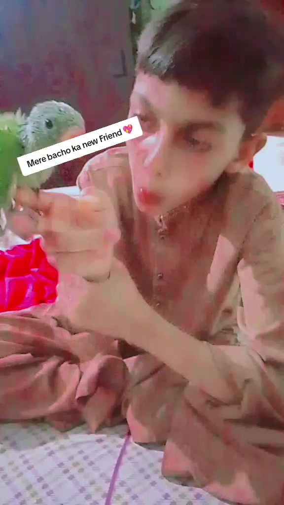 @Maham Faisal