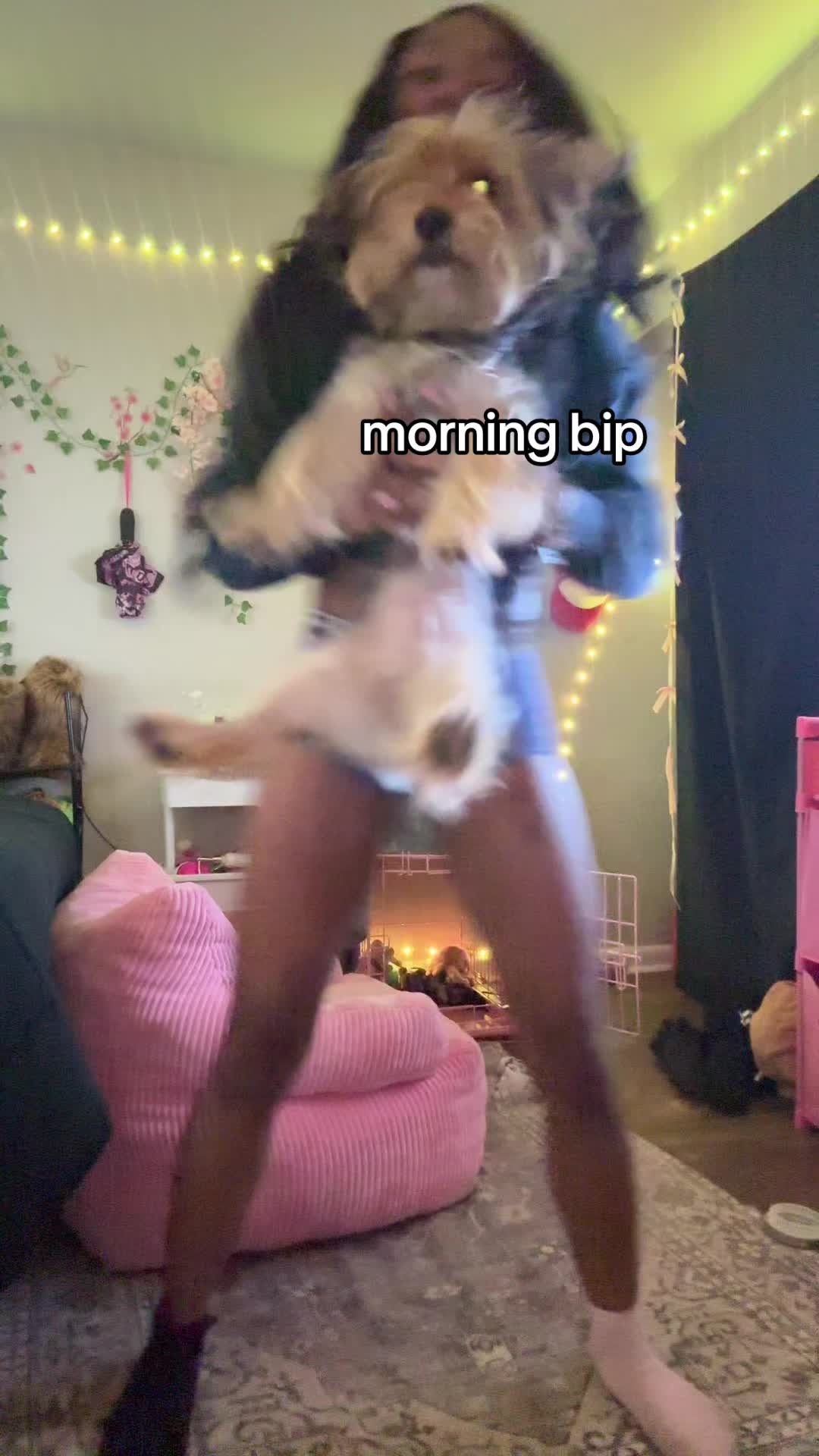 @mootiemoott