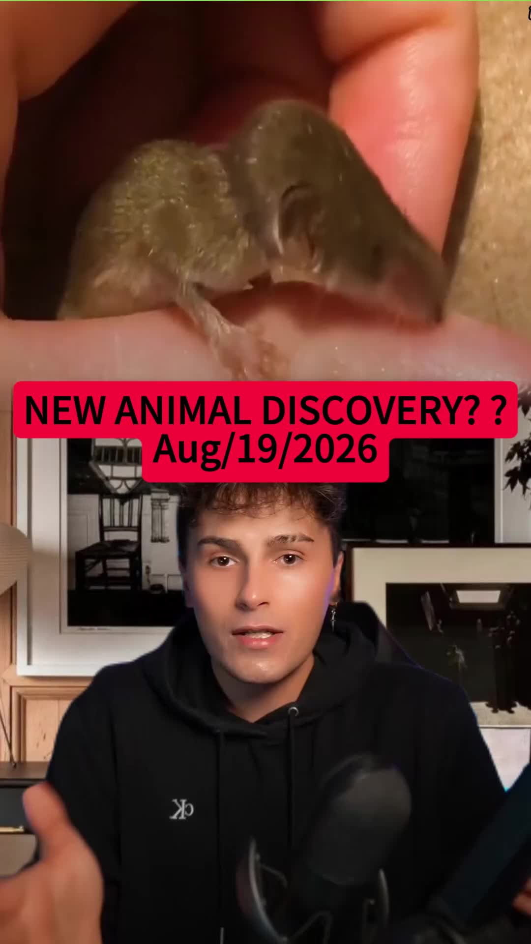 @0g738387