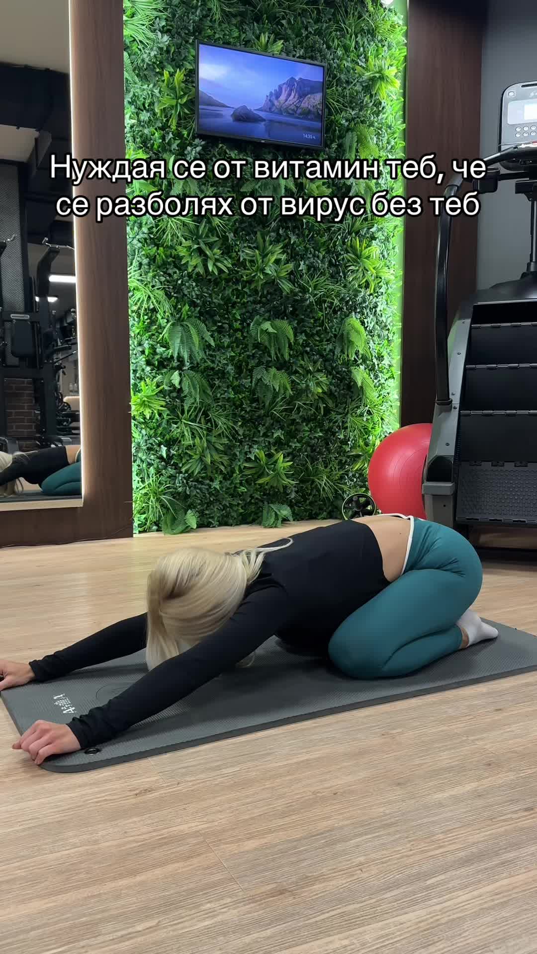@teodoradnchv0