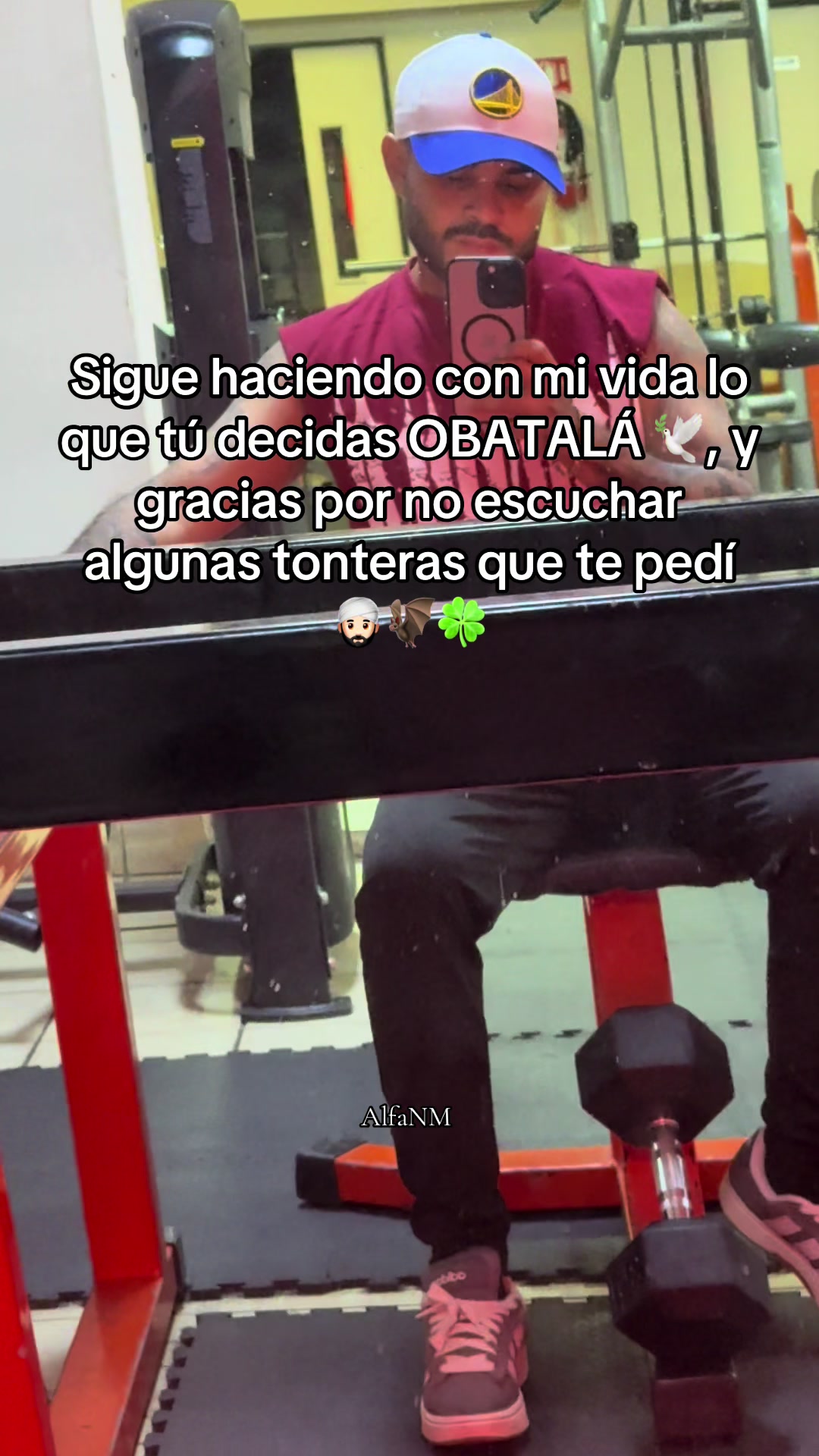 @AlfaNM.