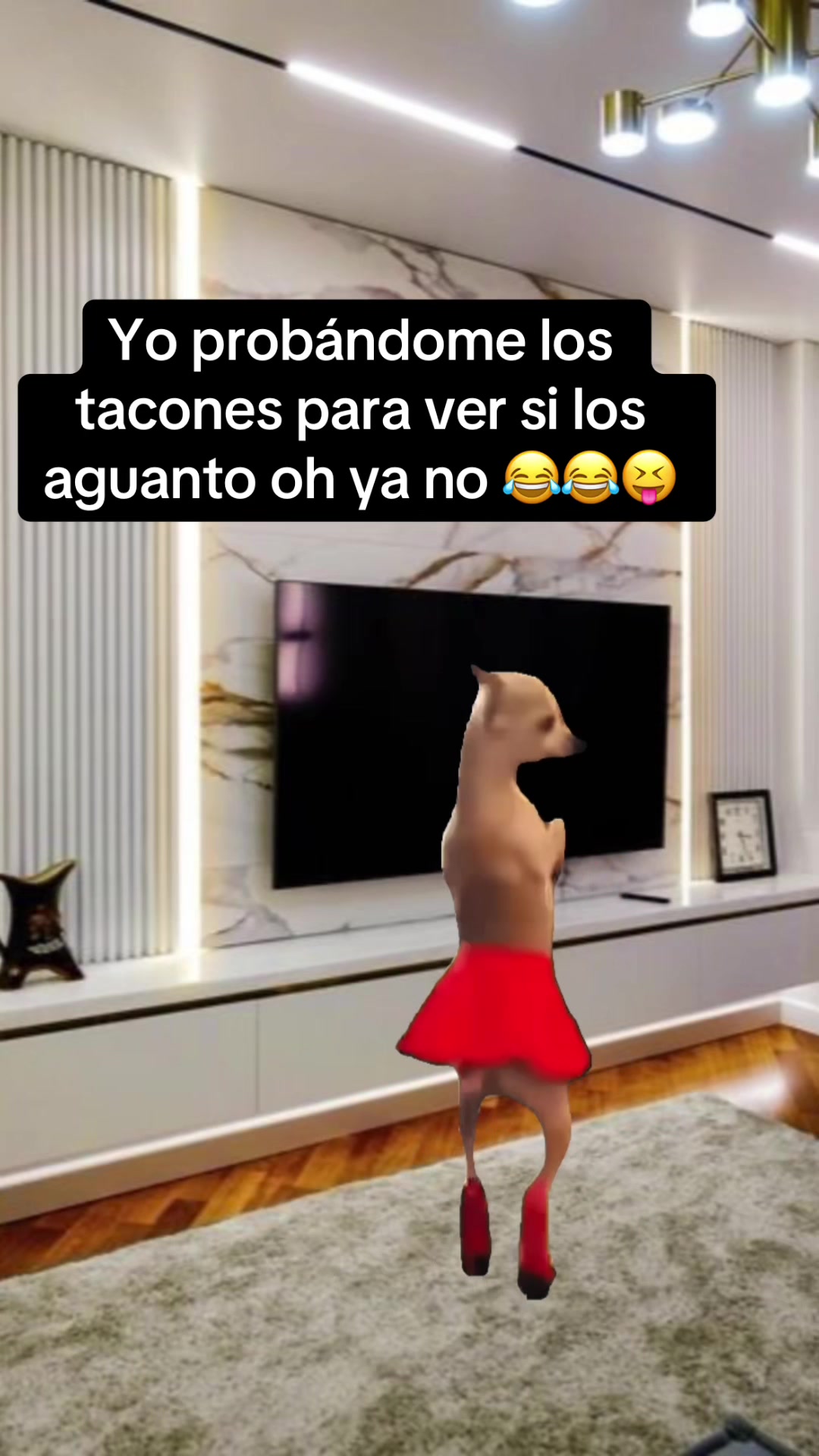@José Francisco olmedo