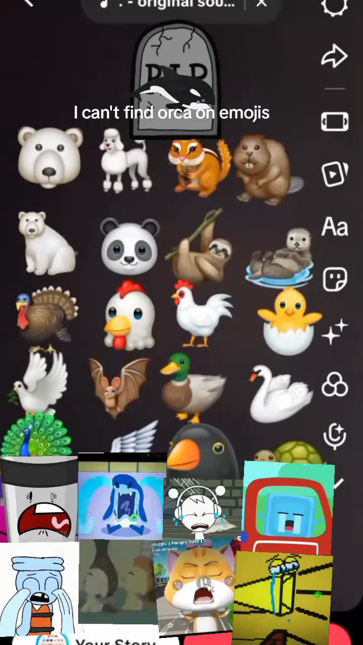 @Bavikids