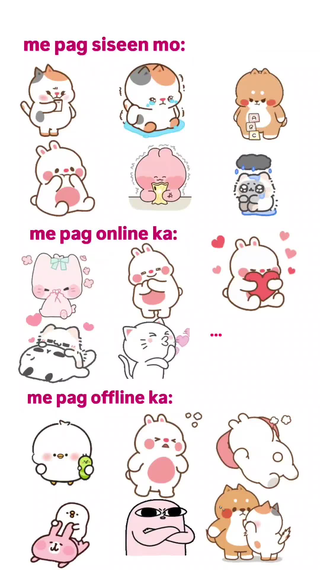 @szm