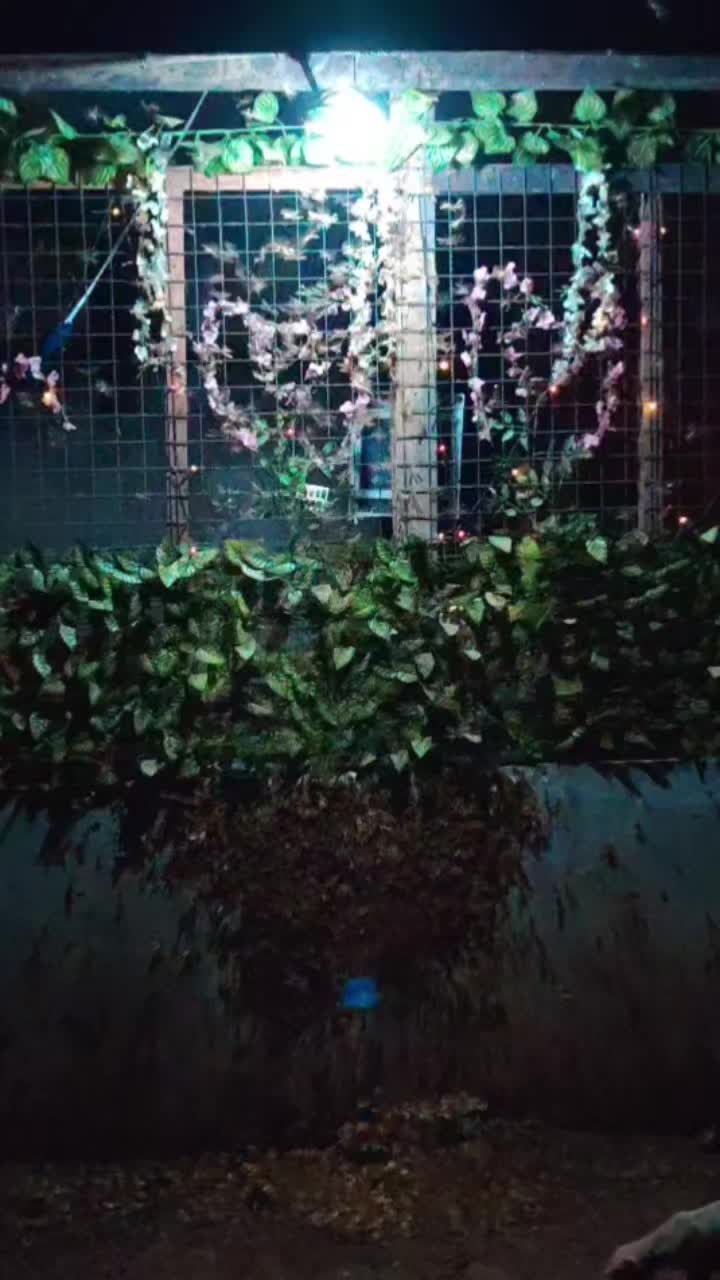 @lypaypz91