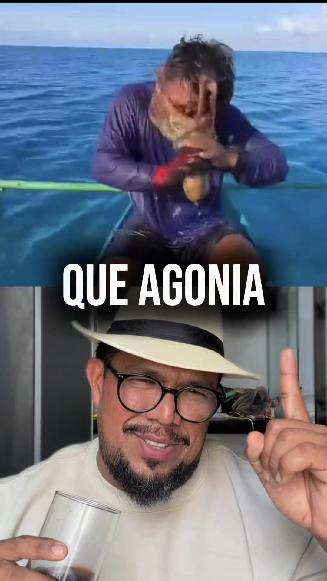 @DOM SINCERO