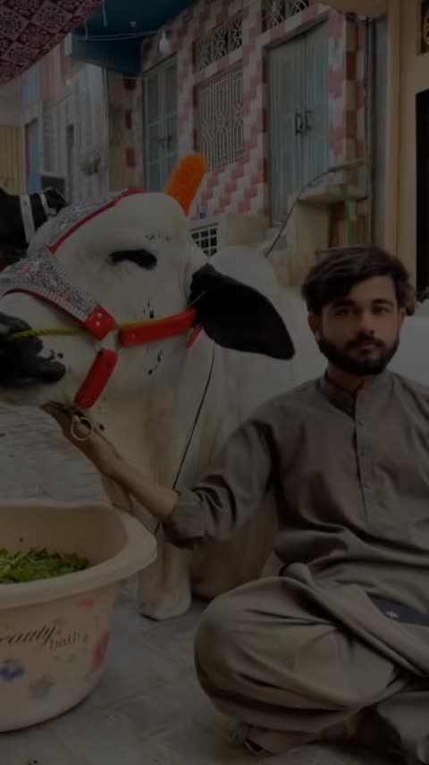 @S u م A i R