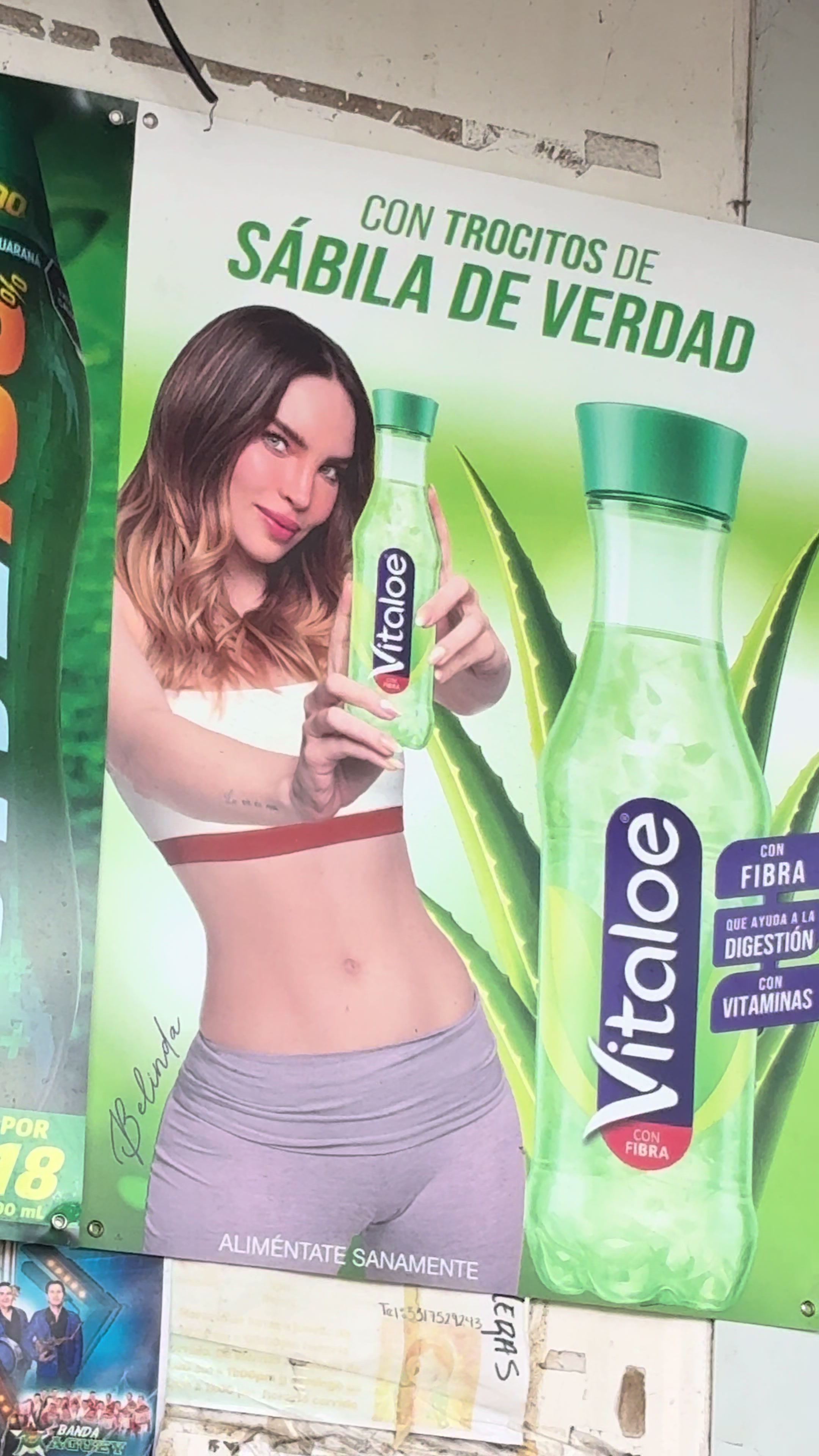 @oscarviena