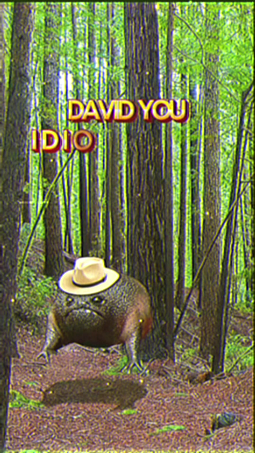@Holy Frog Father