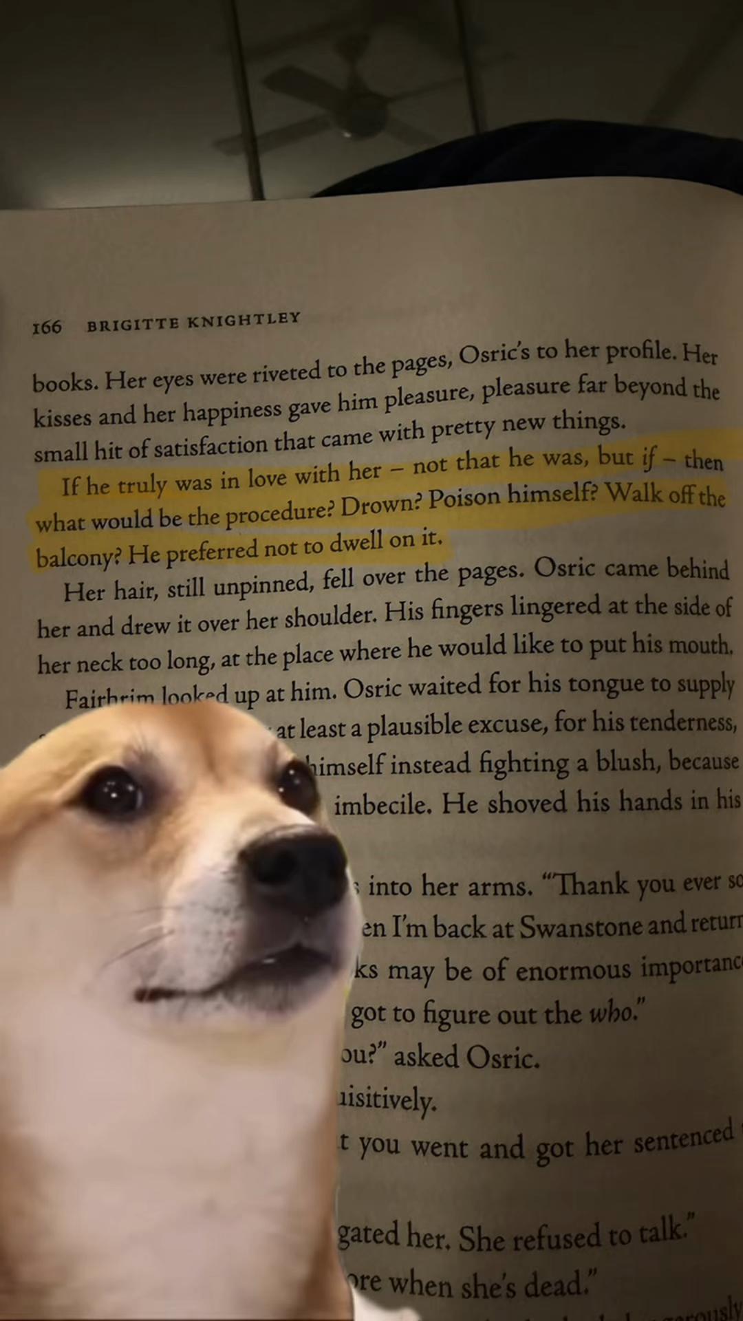 @ChloeReads 🎀