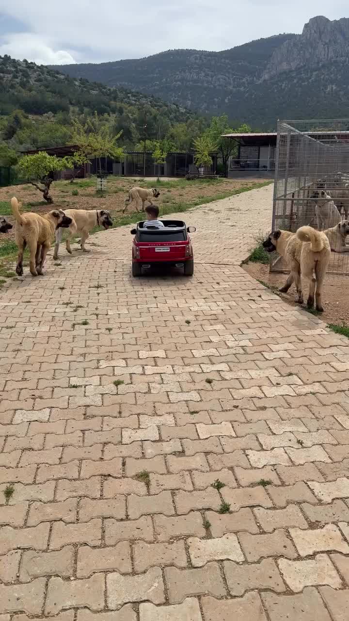 @Fırat yalçın Sevgi