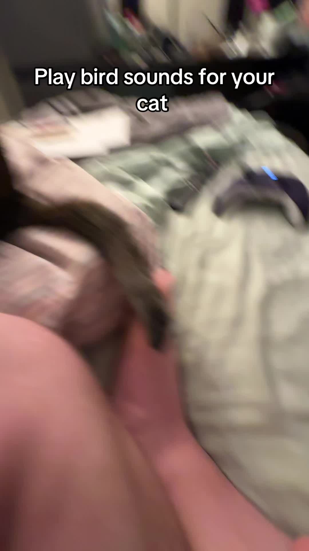 @austin_r_r