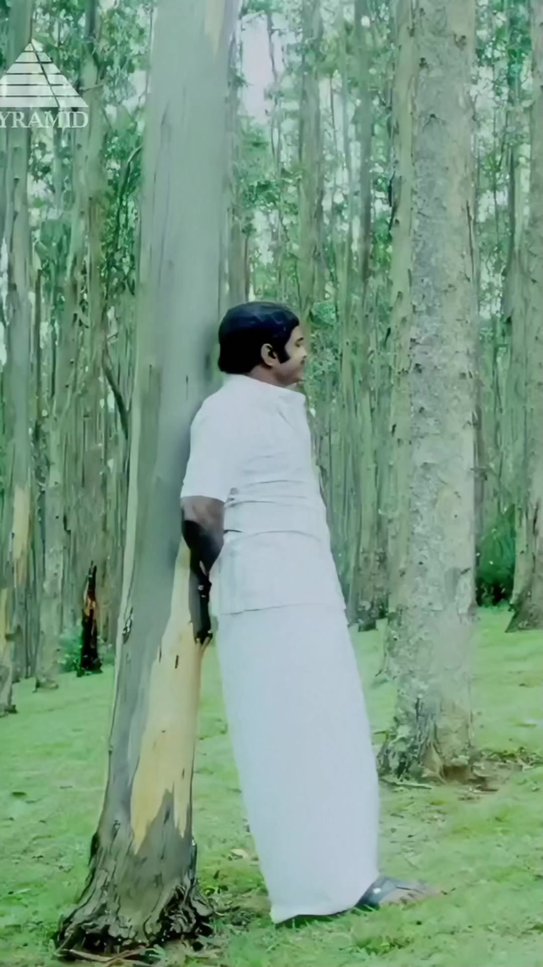 @𝕾.𝕸.𝕽𝖆𝖏𝖆..🎶