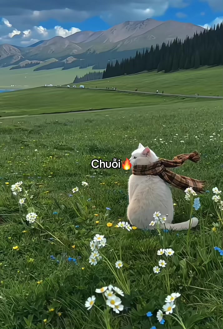 @𝓵