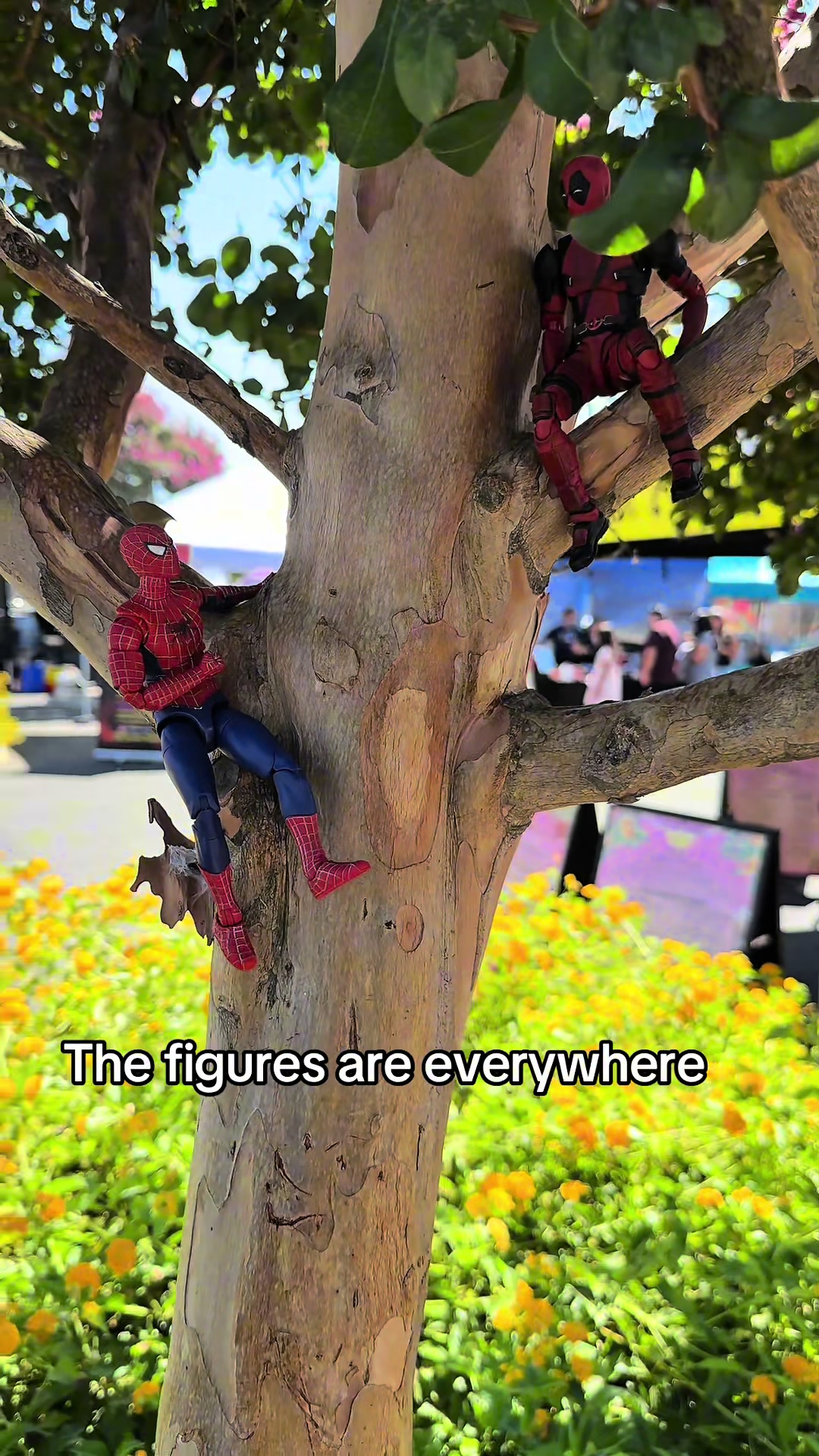 @Figures Everywhere