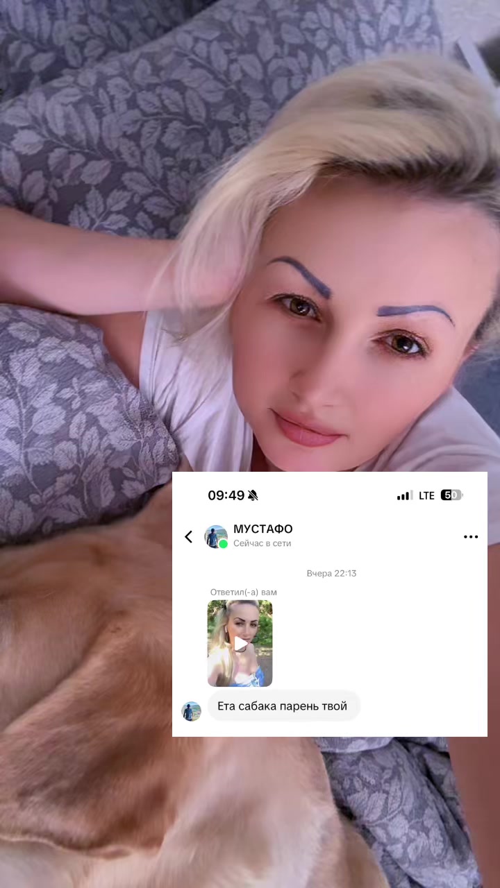 @Лабрадор Тесла и Света