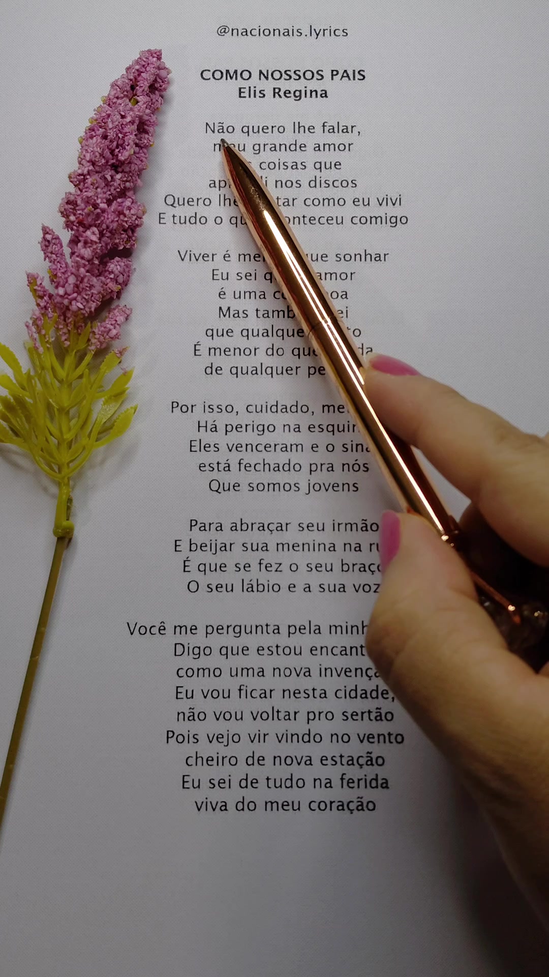 @nacionais lyrics