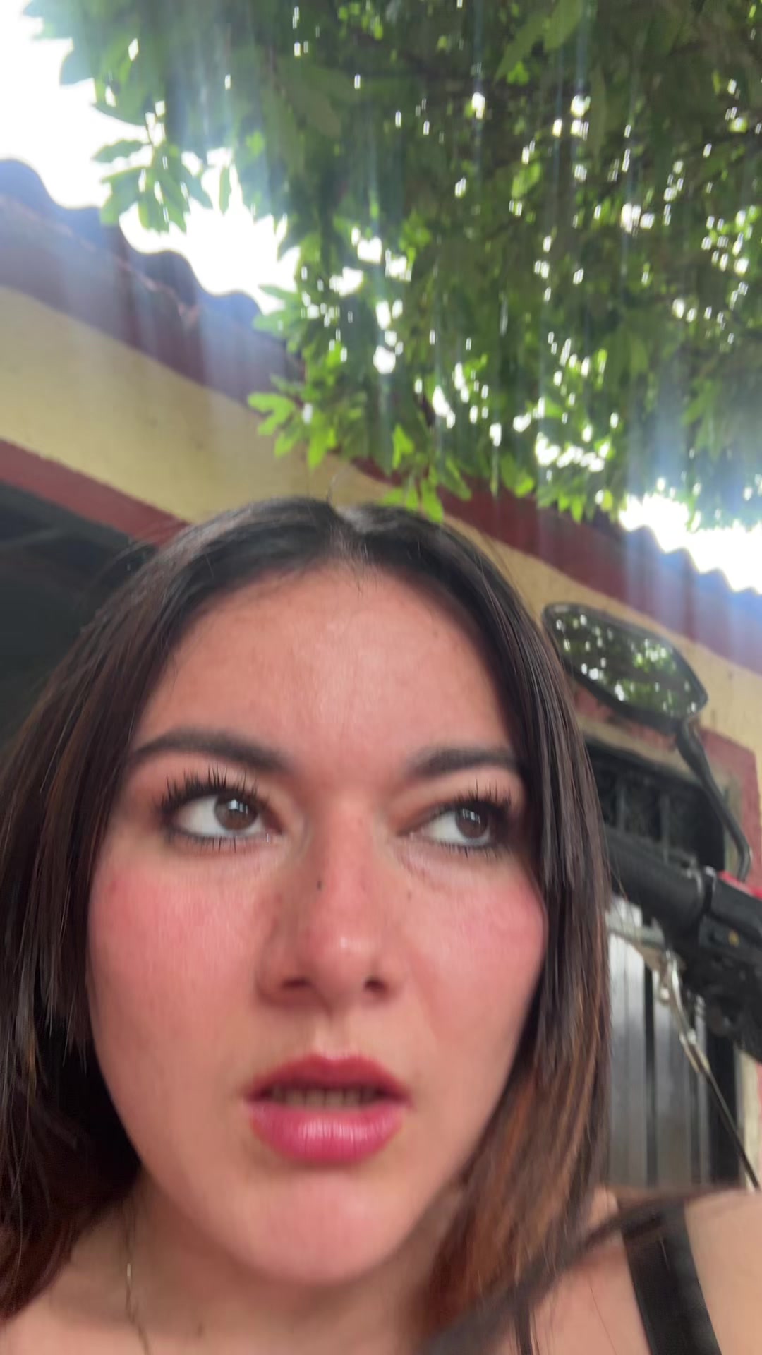@Shirley Dur&aacute;n 🦋