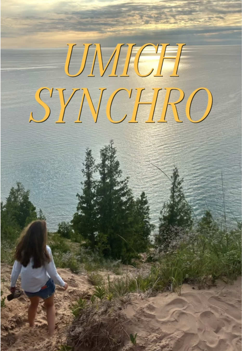 @umichsynchro