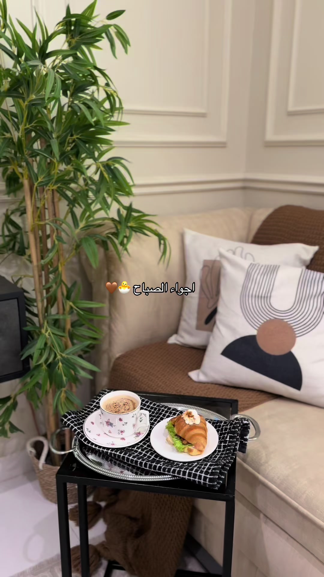 @abeerr_ali|🪴أبها