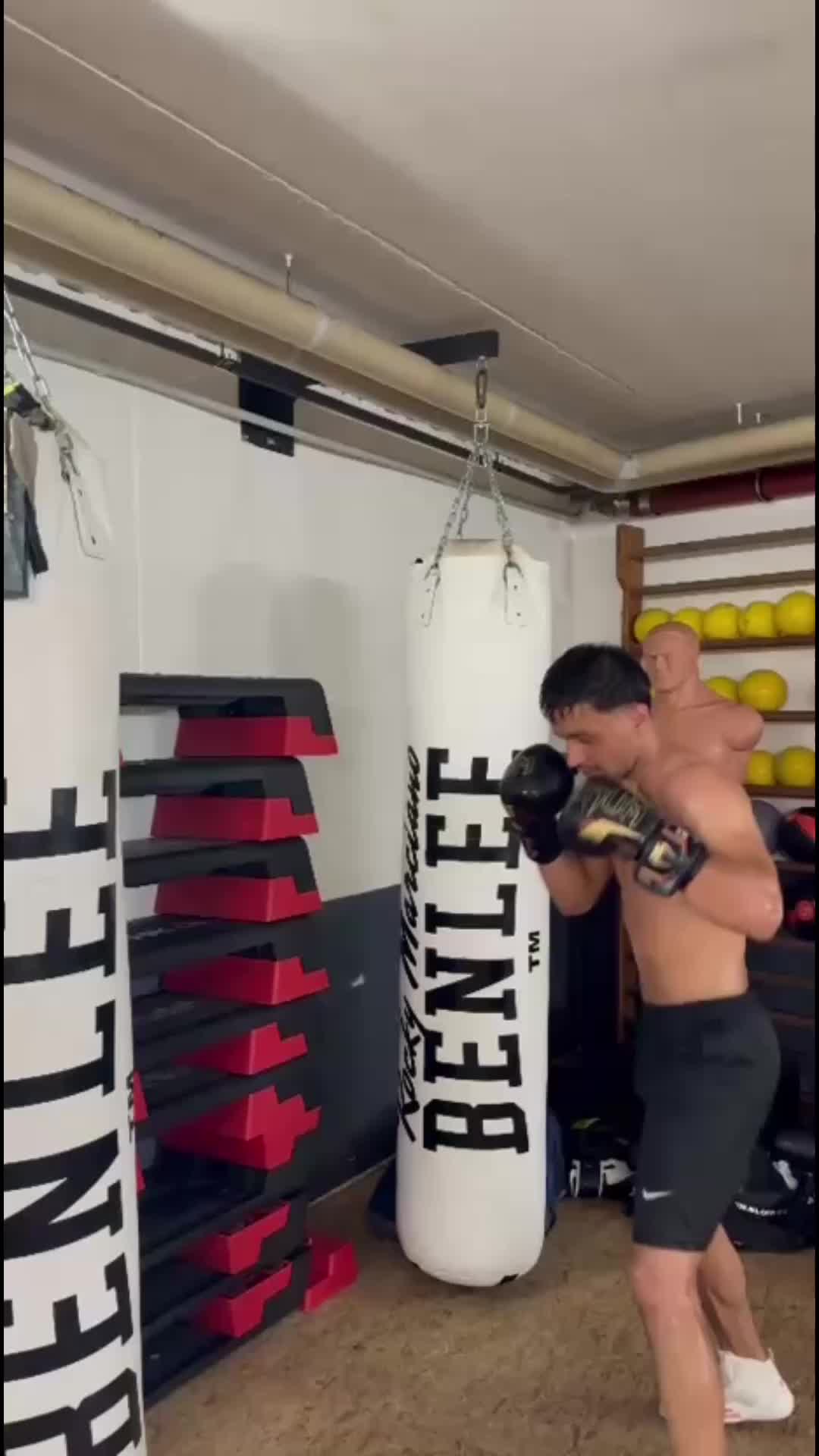 @Boxtaja.
