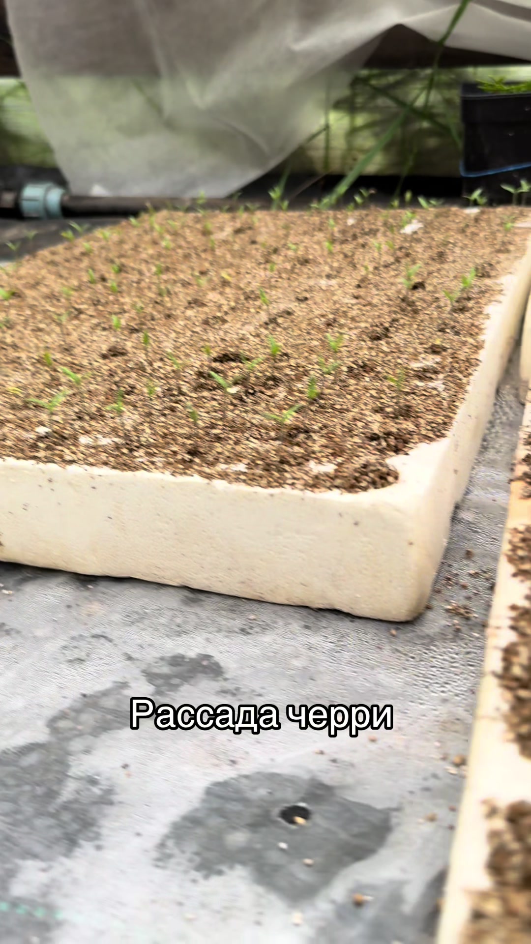 @26 соток
