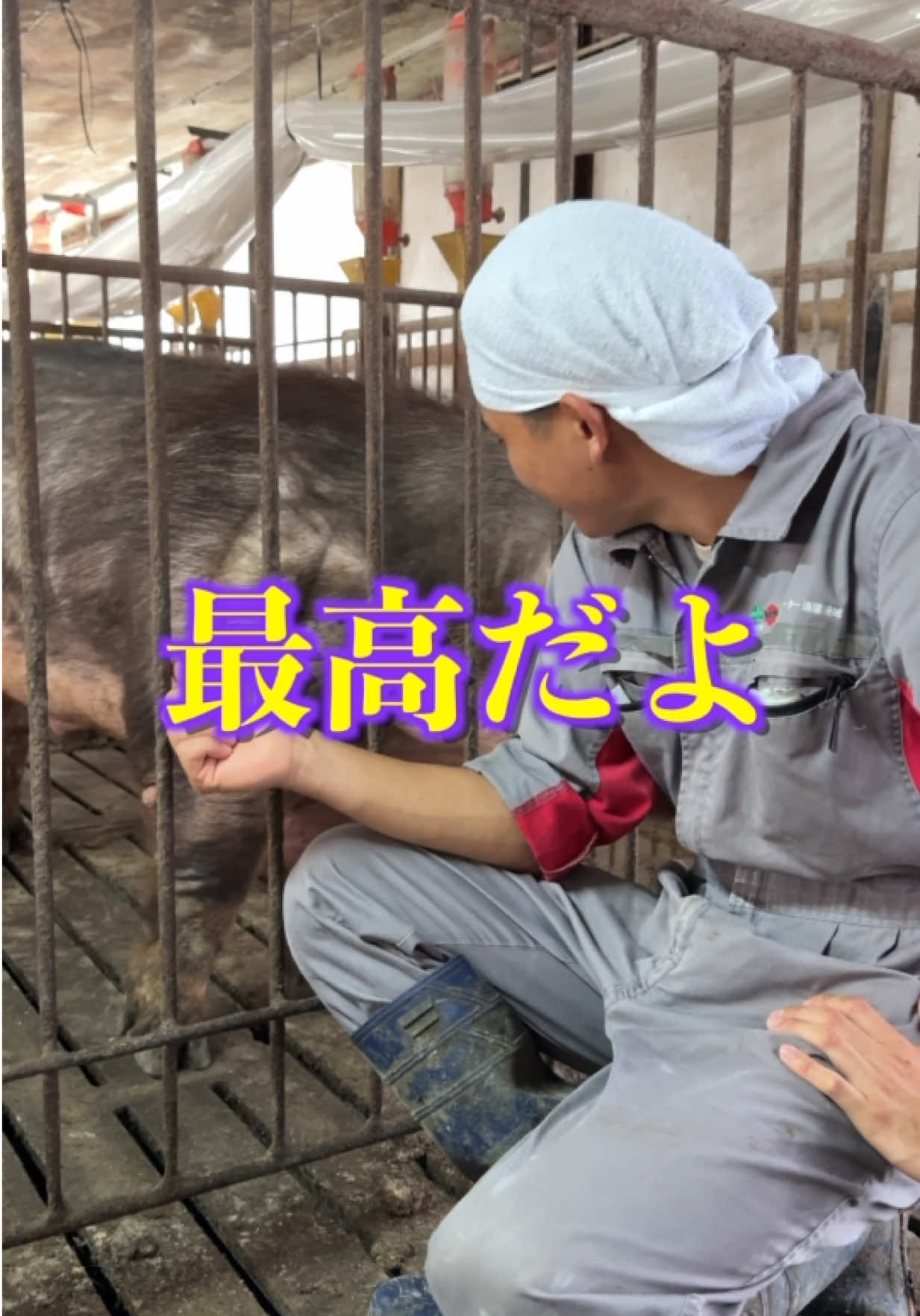 @小野友也ブタのお兄さん『命の恵』