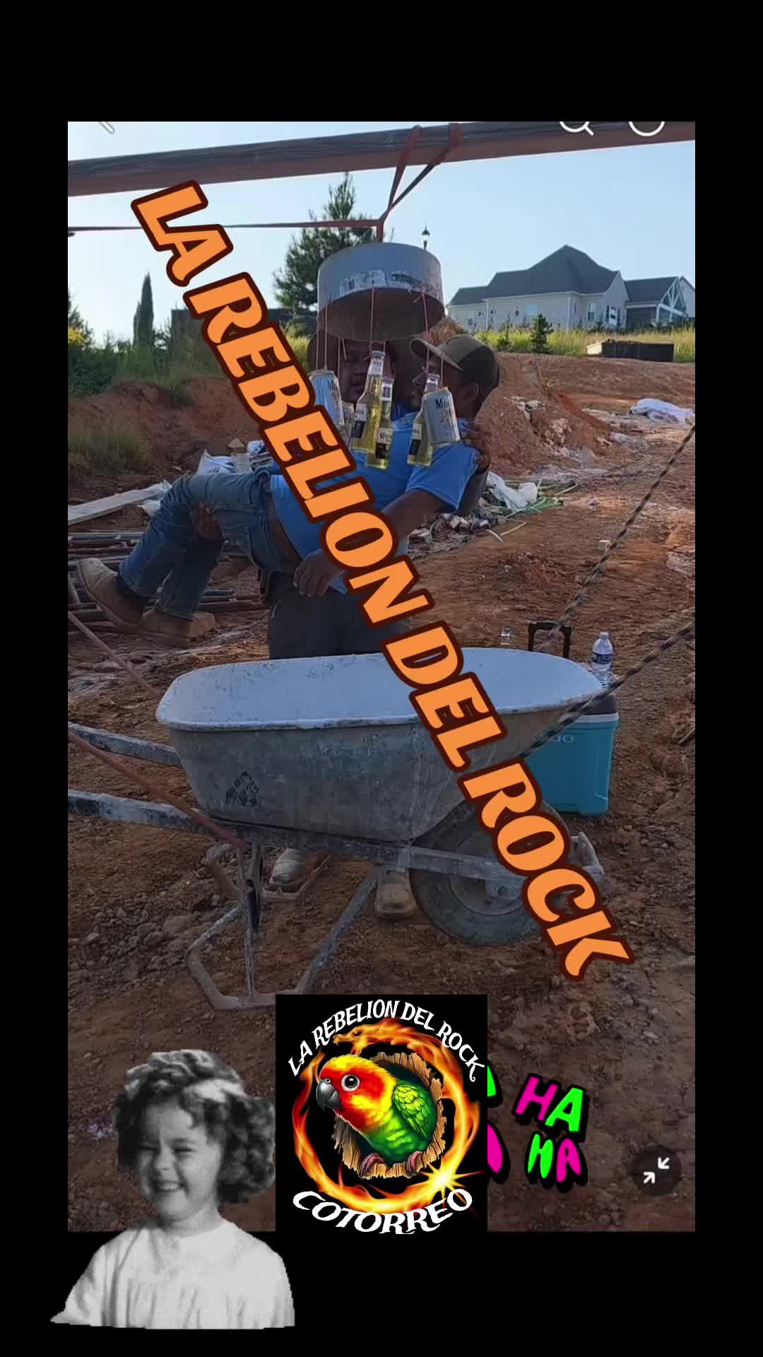 @CAIFAN_498 DF🤟🏼🎸☠️💀🎸