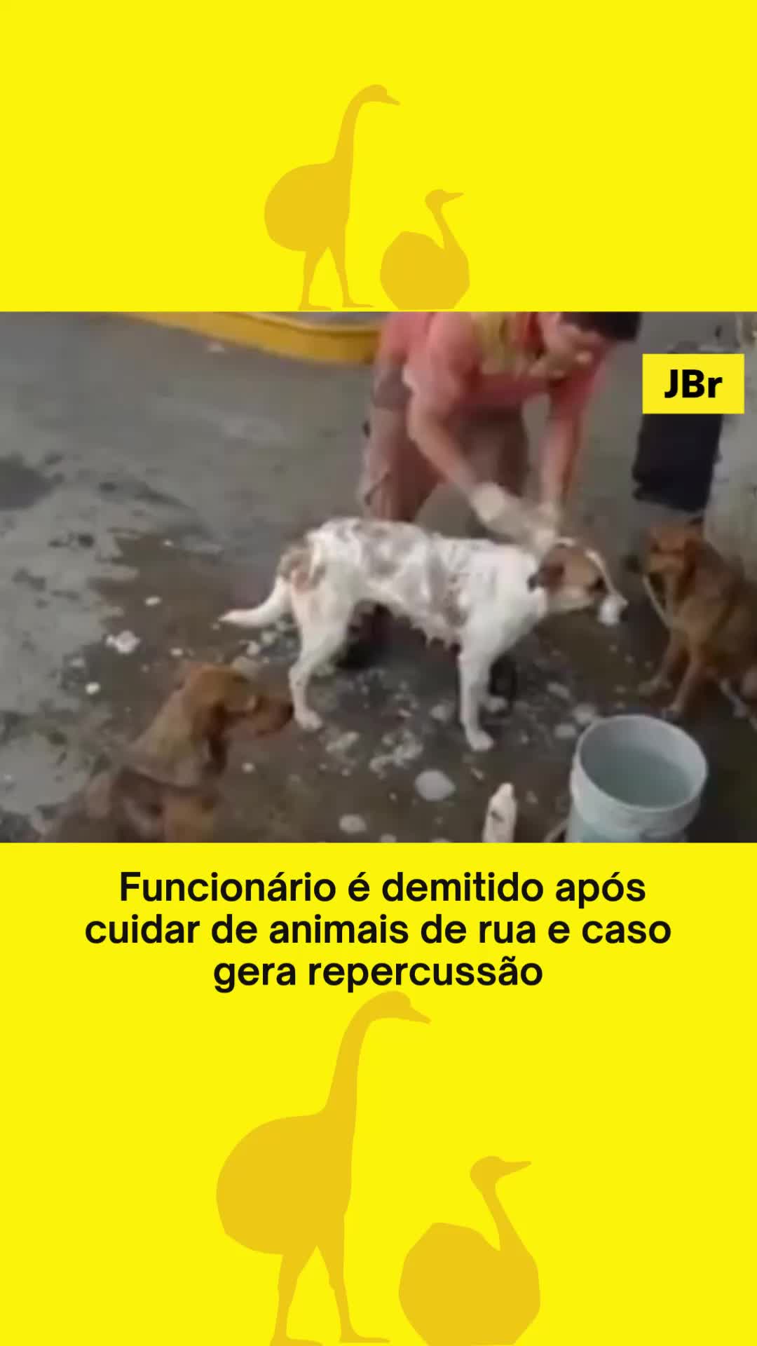 @Jornal de Bras&iacute;lia
